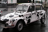 Citroen Dyane (2007-03-20, pris a Disneyland)